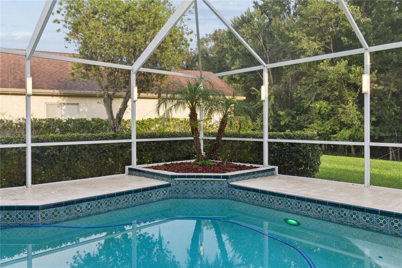 26920 Winged Elm Drive, Wesley Chapel, FL 33544 Photo