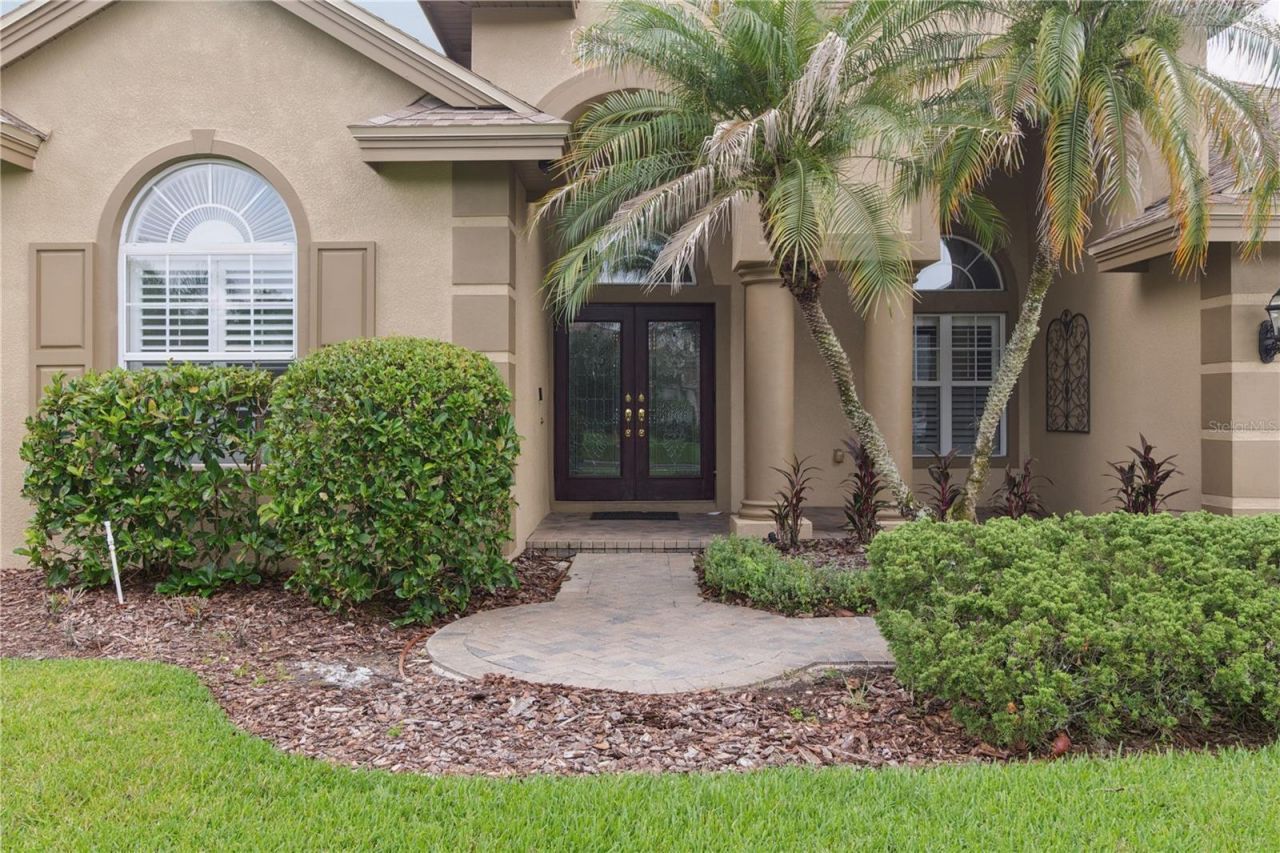 26920 Winged Elm Drive, Wesley Chapel, FL 33544 Photo