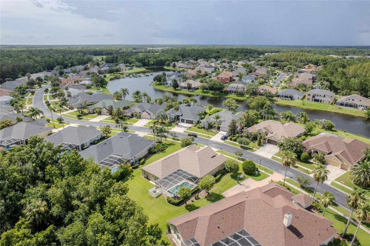 26920 Winged Elm Drive, Wesley Chapel, FL 33544 Photo