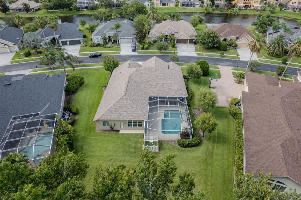 26920 Winged Elm Drive, Wesley Chapel, FL 33544 Photo