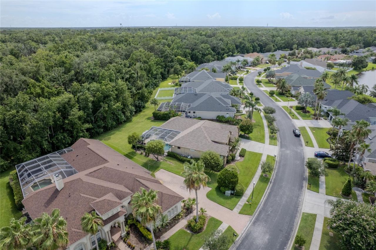 26920 Winged Elm Drive, Wesley Chapel, FL 33544 Photo