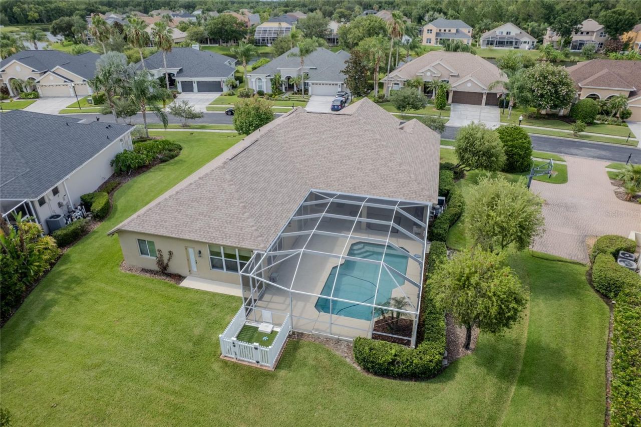 26920 Winged Elm Drive, Wesley Chapel, FL 33544 Photo
