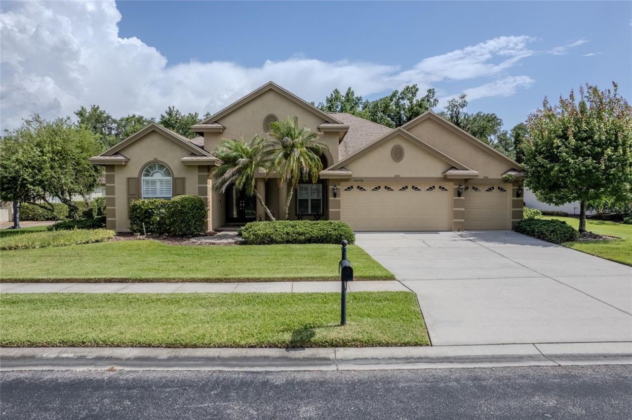 26920 Winged Elm Drive, Wesley Chapel, FL 33544 Photo