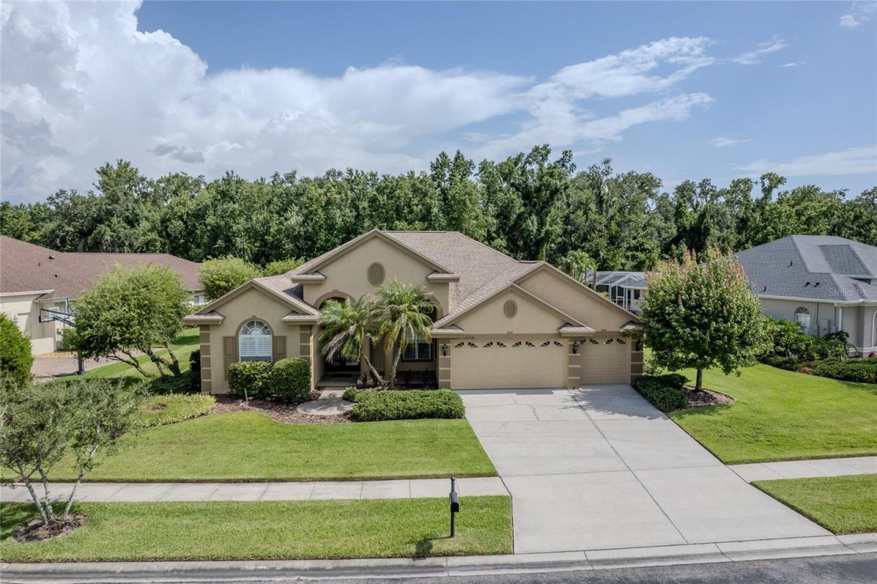 26920 Winged Elm Drive, Wesley Chapel, FL 33544 Photo