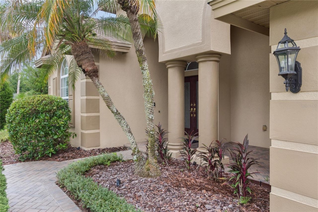 26920 Winged Elm Drive, Wesley Chapel, FL 33544 Photo