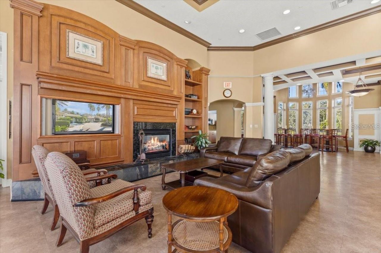 26920 Winged Elm Drive, Wesley Chapel, FL 33544 Photo