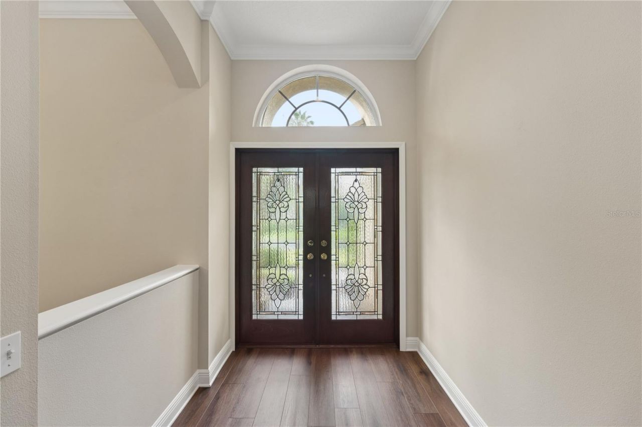 26920 Winged Elm Drive, Wesley Chapel, FL 33544 Photo