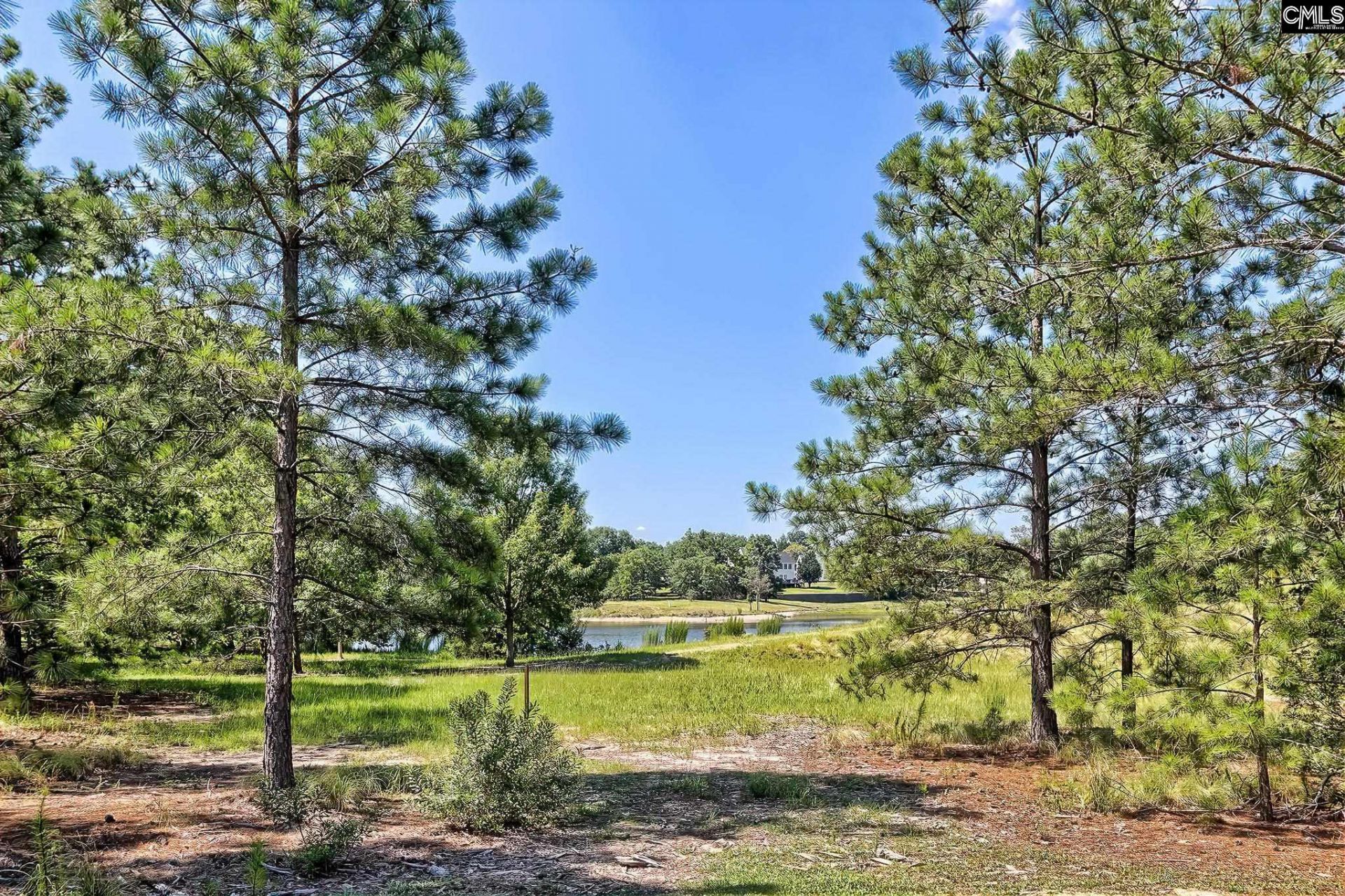 1110 Hamilton Place Circle  Photo 29