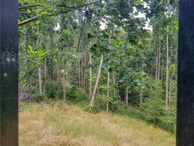 75294 Bethel Road, Newcomerstown, OH 43732 Photo 10