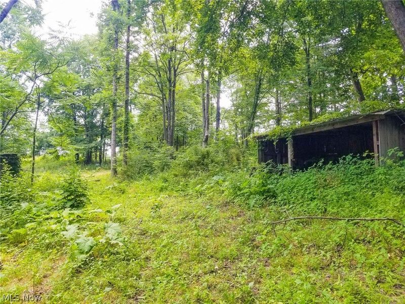 75294 Bethel Road, Newcomerstown, OH 43732 Photo 22