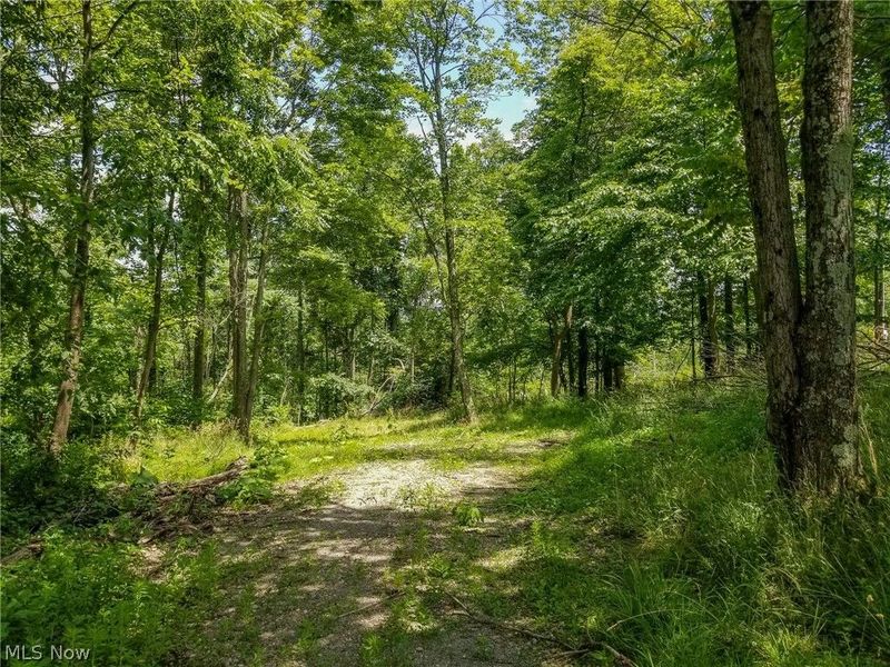 75294 Bethel Road, Newcomerstown, OH 43732 Photo 24