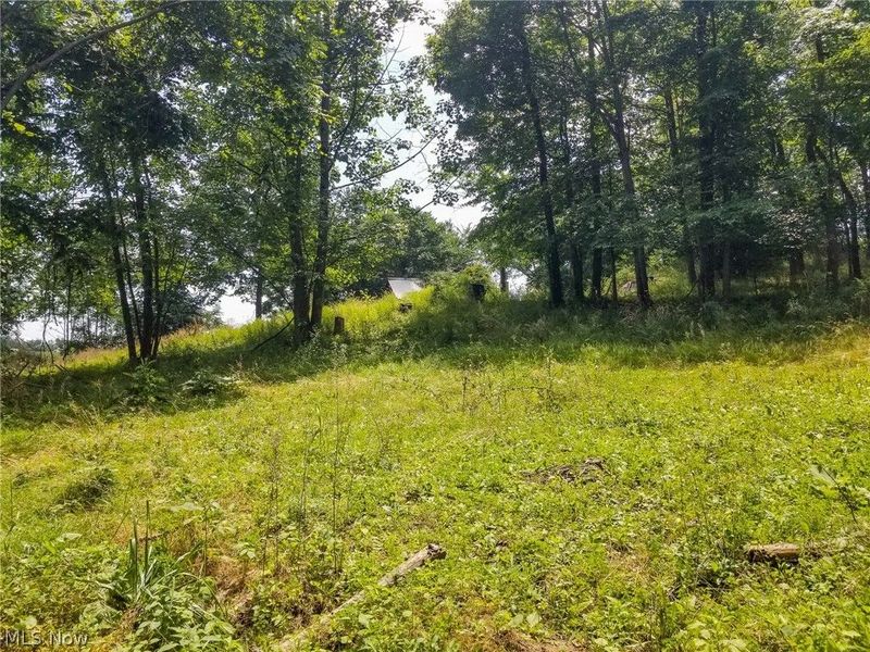 75294 Bethel Road, Newcomerstown, OH 43732 Photo 25