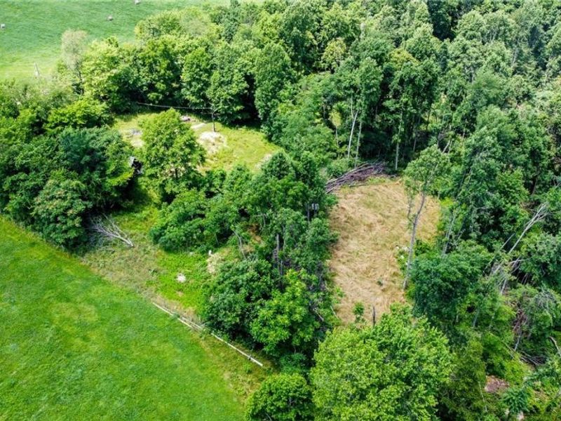 75294 Bethel Road, Newcomerstown, OH 43732 Photo 3