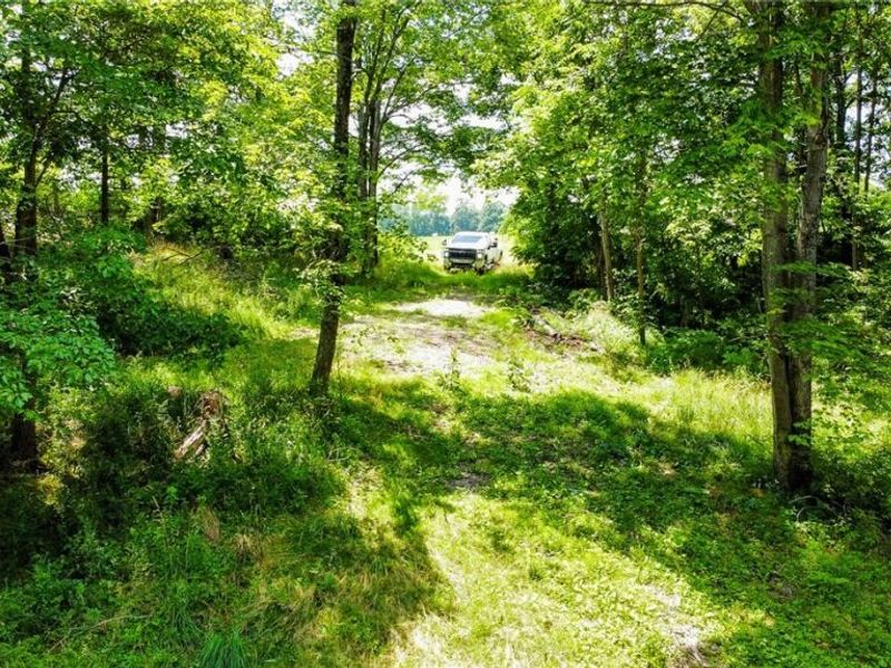 75294 Bethel Road, Newcomerstown, OH 43732 Photo 32