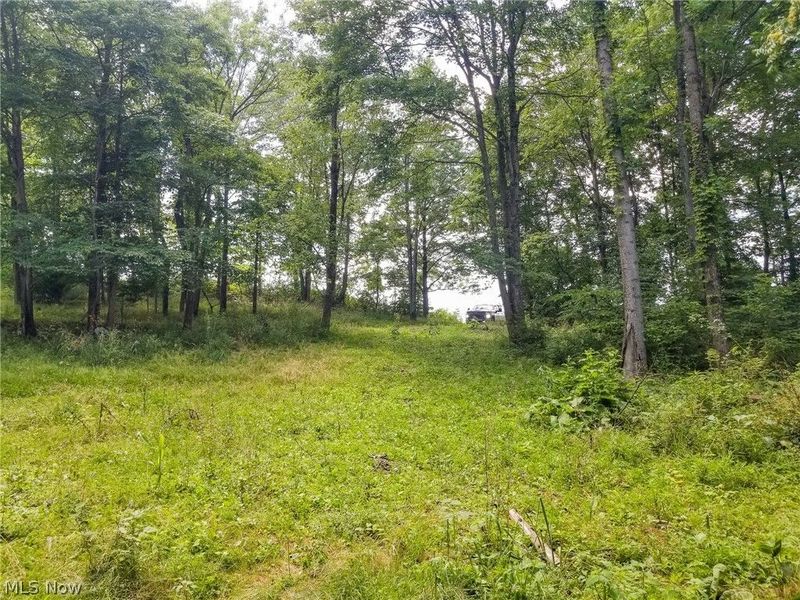 75294 Bethel Road, Newcomerstown, OH 43732 Photo 33