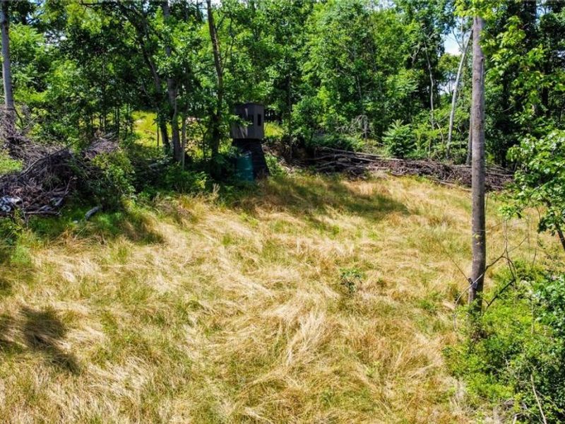 75294 Bethel Road, Newcomerstown, OH 43732 Photo 6