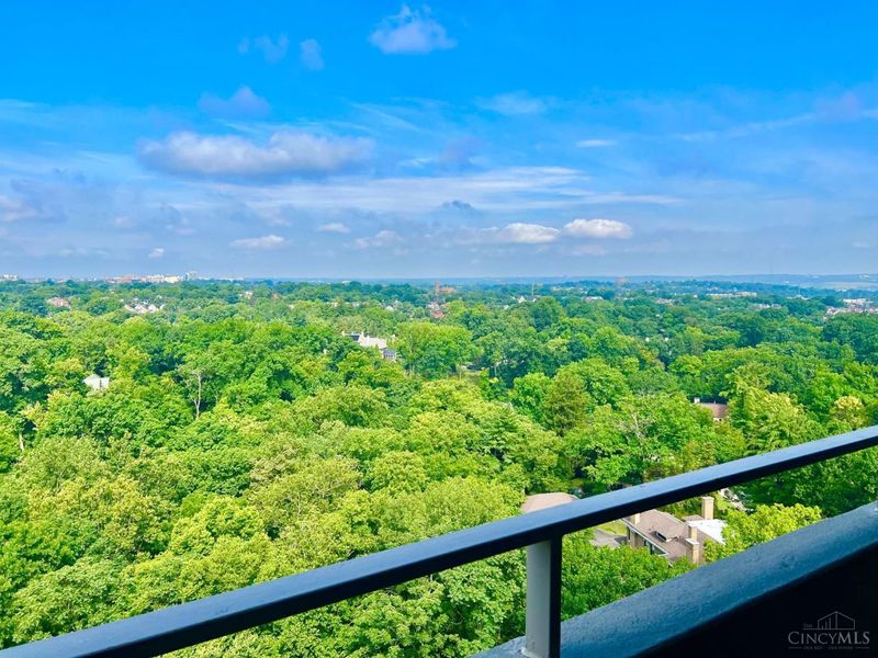2324 Madison Road, Unit 1509, Cincinnati, OH 45208 Photo 4