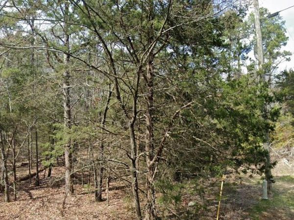 Lot 29 Genie , Edgemont, AR 72044