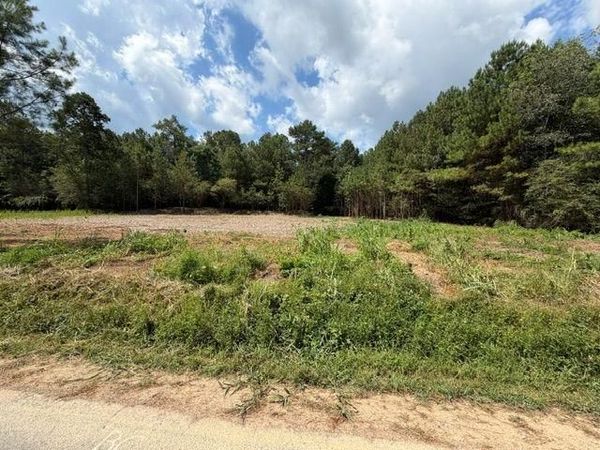 84 Popham Road Tract 2 & 3 , Taylorsville, GA 30178