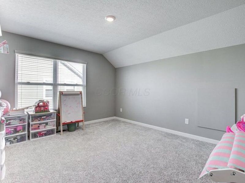 107 Silver Pine Lane, Lewis Center, OH 43035 Photo 37