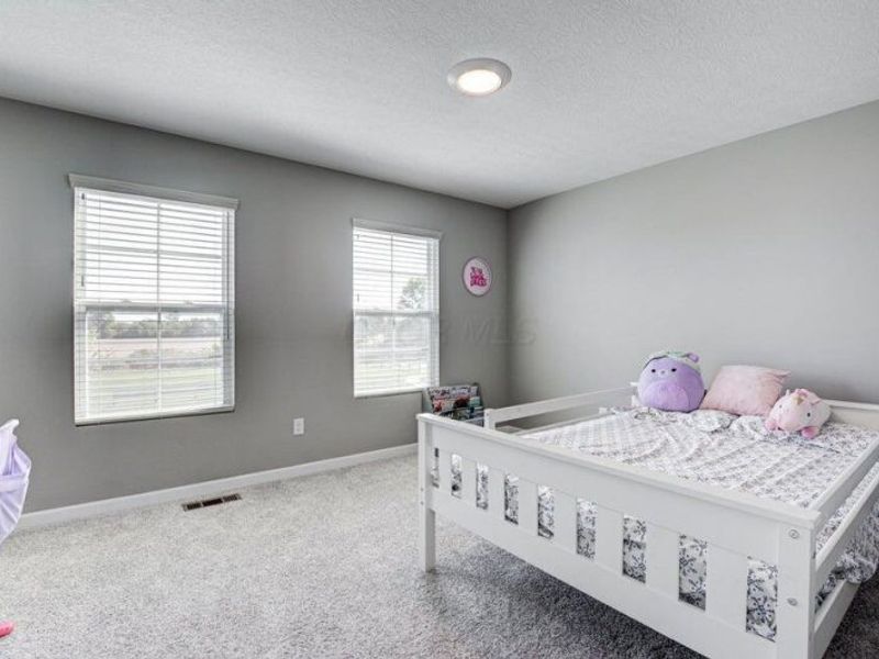 107 Silver Pine Lane, Lewis Center, OH 43035 Photo 41