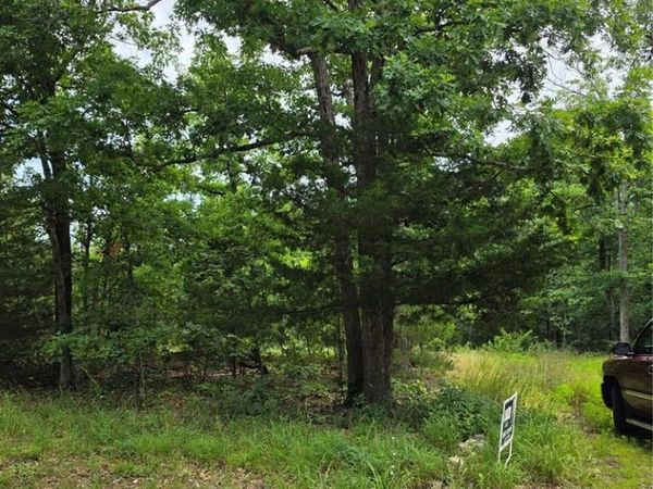 23675 Grandview Road , Lebanon, MO 65536