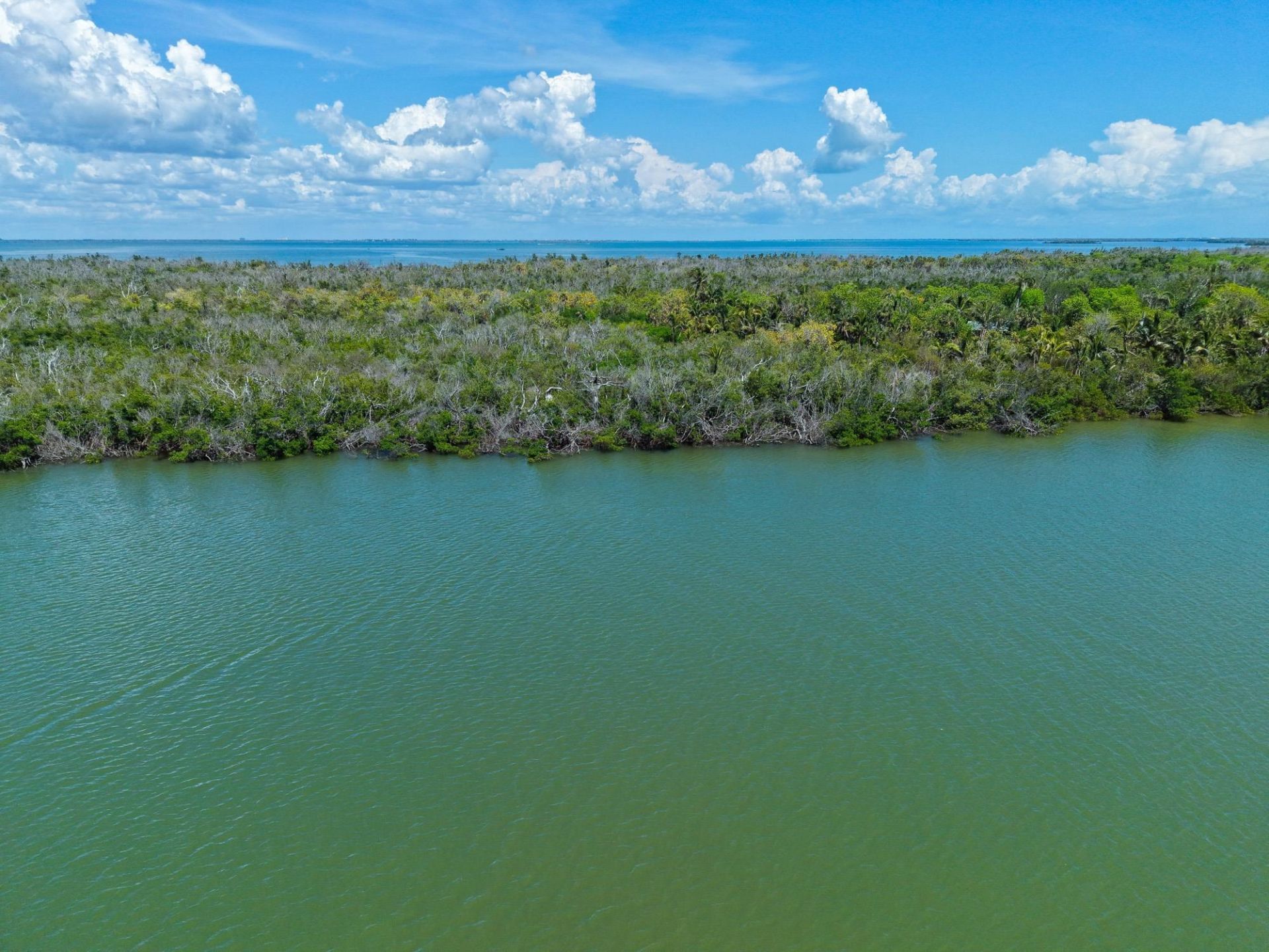 0 Buck Key, Captiva, FL 33924 Photo