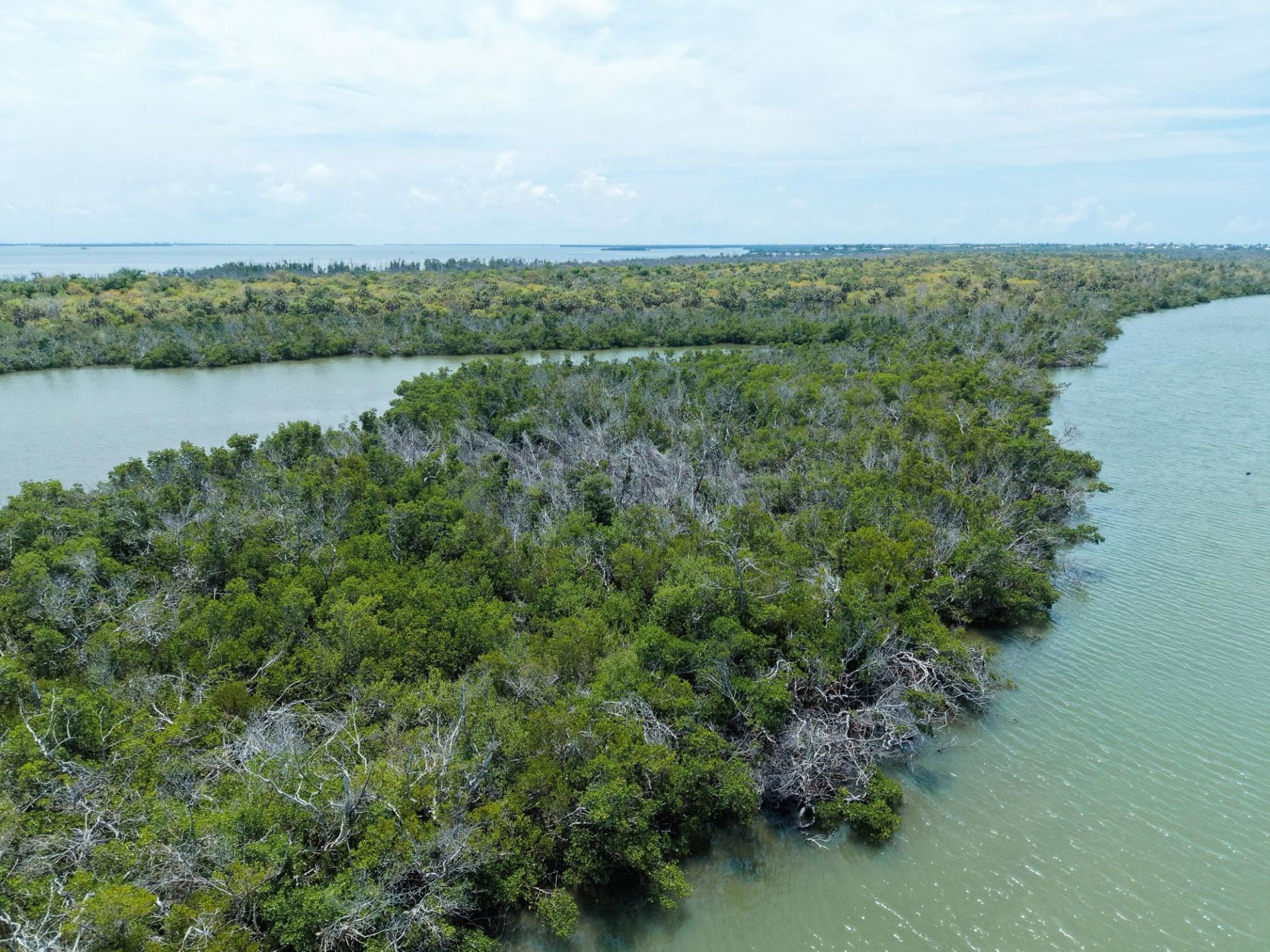 0 Buck Key, Captiva, FL 33924 Photo