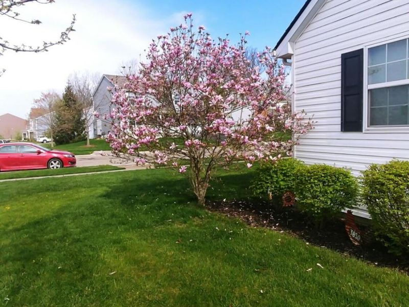 296 Isaac Tharp Street, Pataskala, OH 43062 Photo 28