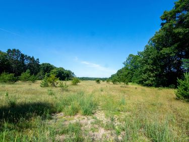 TBD County Road 19, Merrifield, MN 56465