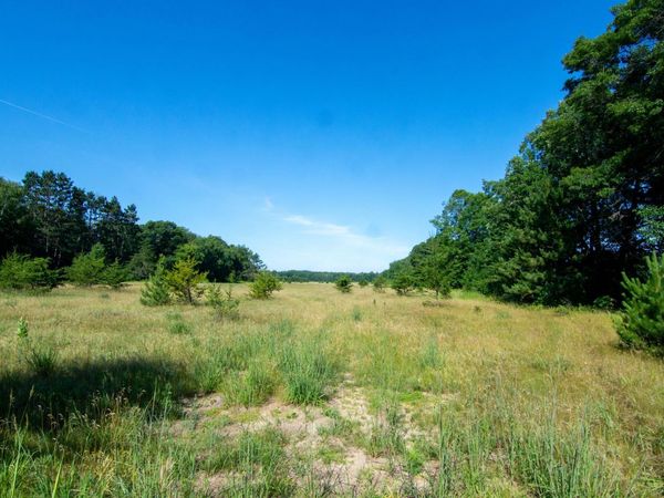 TBD County Road 19 , Merrifield, MN 56465