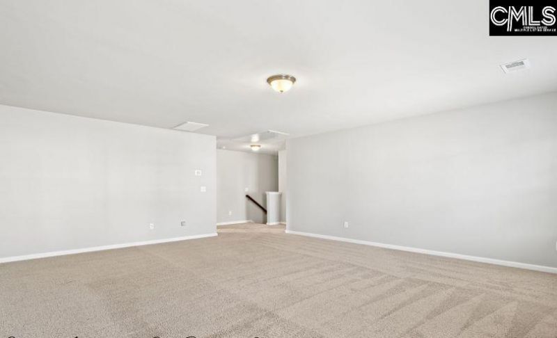 213 Allans Mill Drive  Photo 22