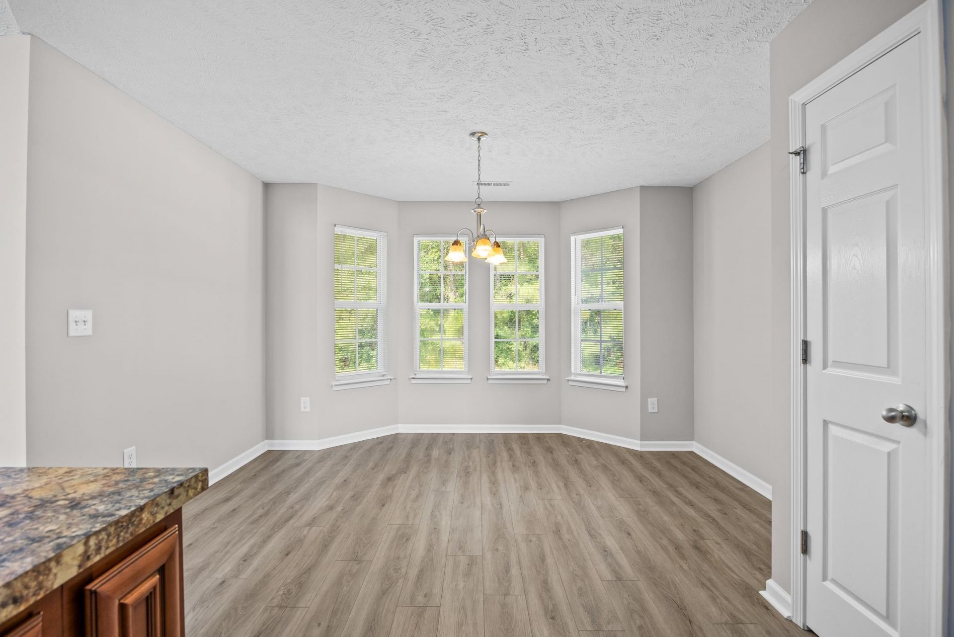 121 Emily Springs Dr. Photo 11