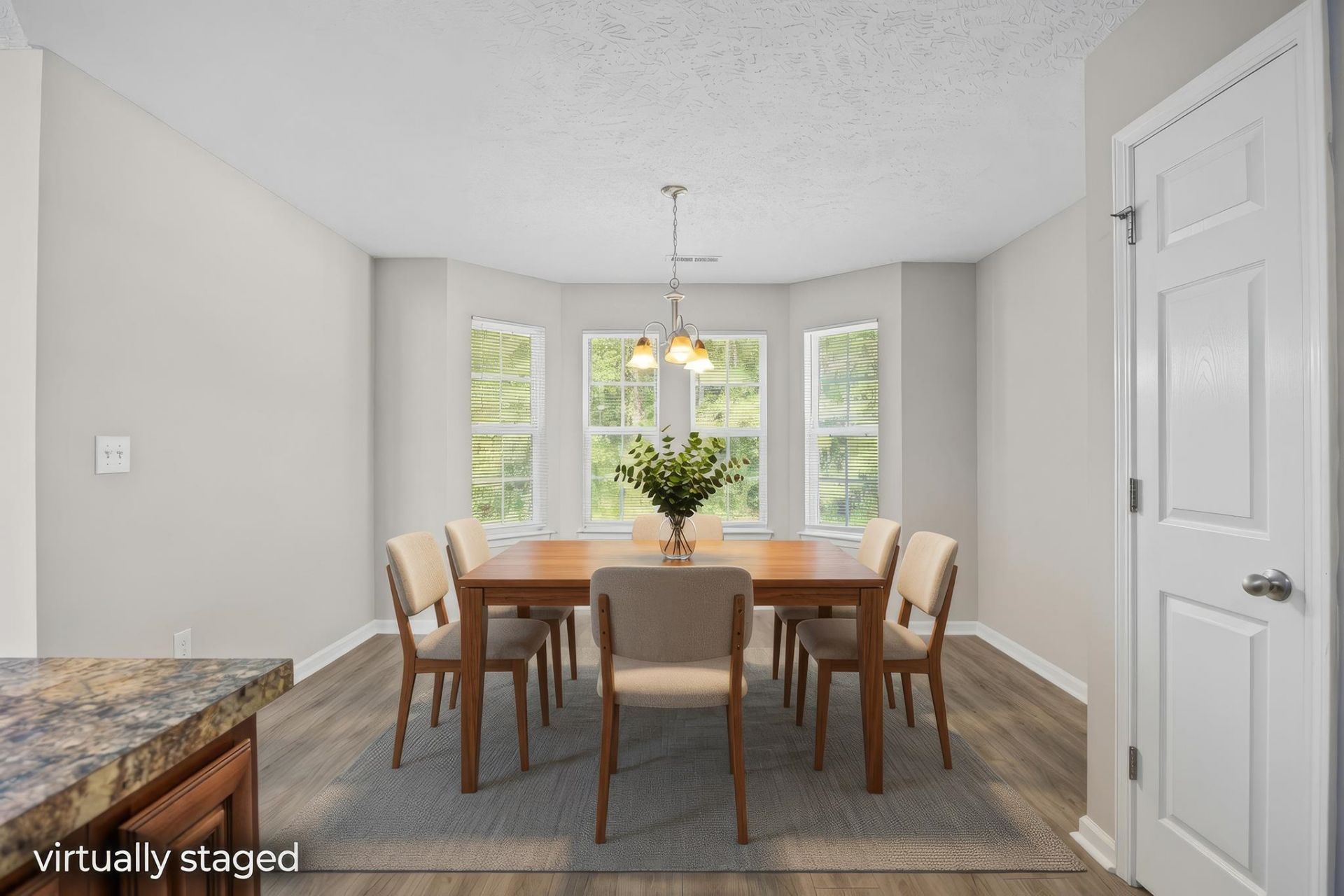 121 Emily Springs Dr. Photo 12