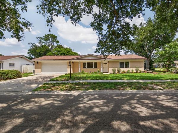 12501 SAINT CHARLOTTE DRIVE , TAMPA, FL 33618