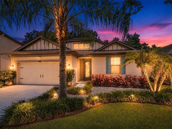 842 VINO VERDE CIRCLE, BRANDON, FL 33511