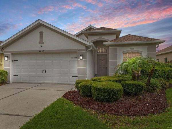 2850 BANYAN HILL LANE , LAND O LAKES, FL 34639