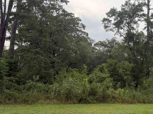 1217 Cuddle Doon Ave, Unit Lot A 14, Milton, FL 32583