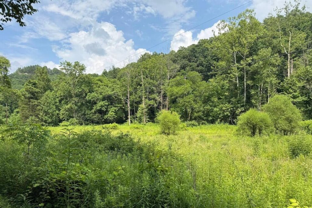 0 Meyers Fork Road, Denniston, KY 40316 Main Photo