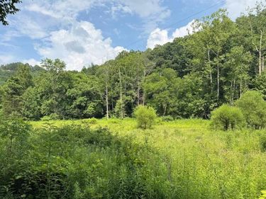 0 Meyers Fork Road, Denniston, KY 40316