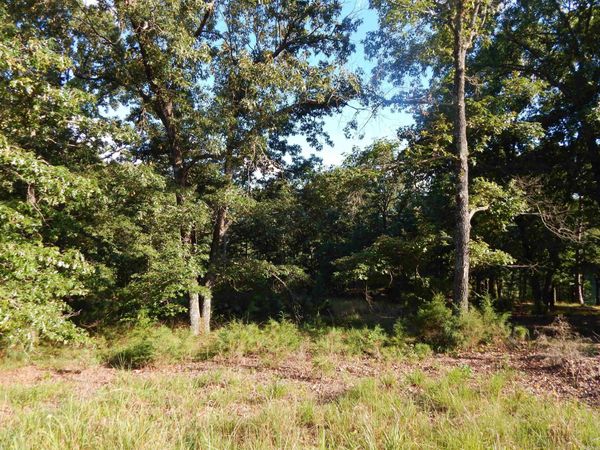 Lot 13 Quail Hollow Cove , Heber Springs, AR 72543
