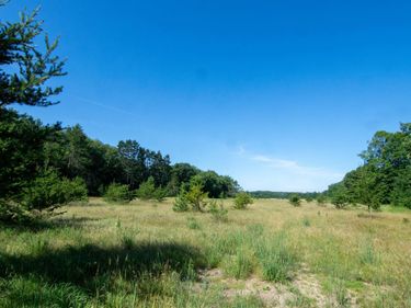 XXX County Road 19, Merrifield, MN 56465
