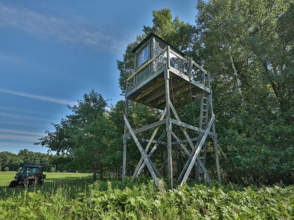 38.85 Ac County Road E, Pittsville, WI 54466