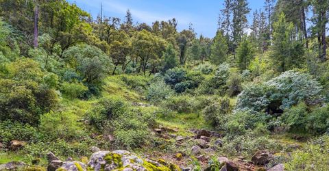 3942 Bear Canyon Ct, Meadow Vista, CA 95722 Photo