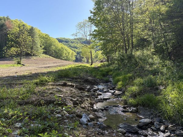 Suck Creek Road, Jumping Branch, WV 25969