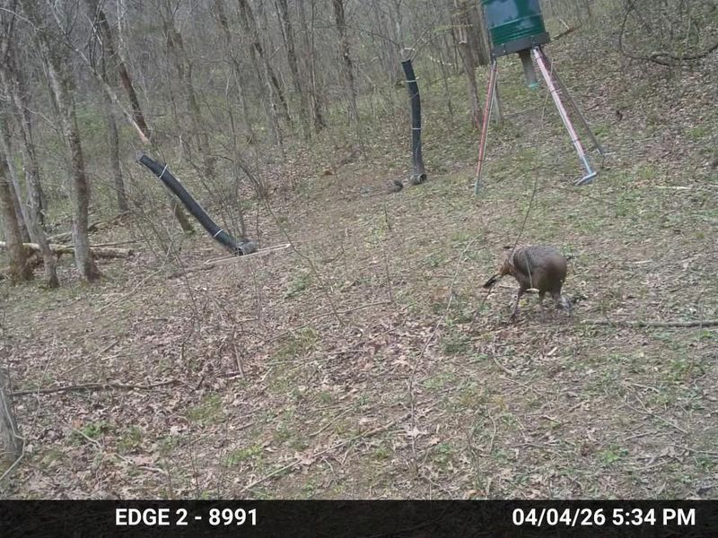 10792 New Columbus Road, Owenton, KY 40359 Photo 12
