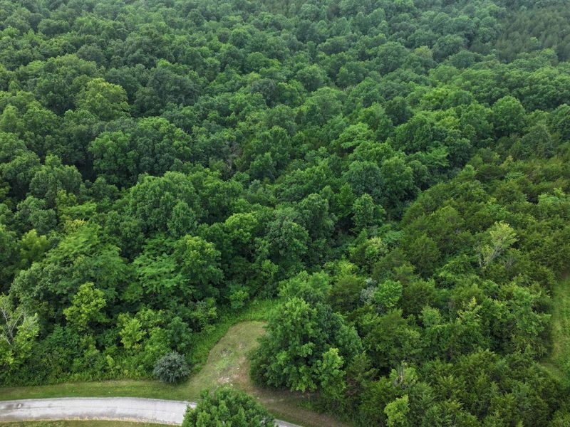 10792 New Columbus Road, Owenton, KY 40359 Photo 13