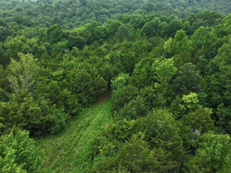 10792 New Columbus Road, Owenton, KY 40359 Photo 14