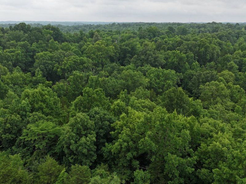 10792 New Columbus Road, Owenton, KY 40359 Photo 15