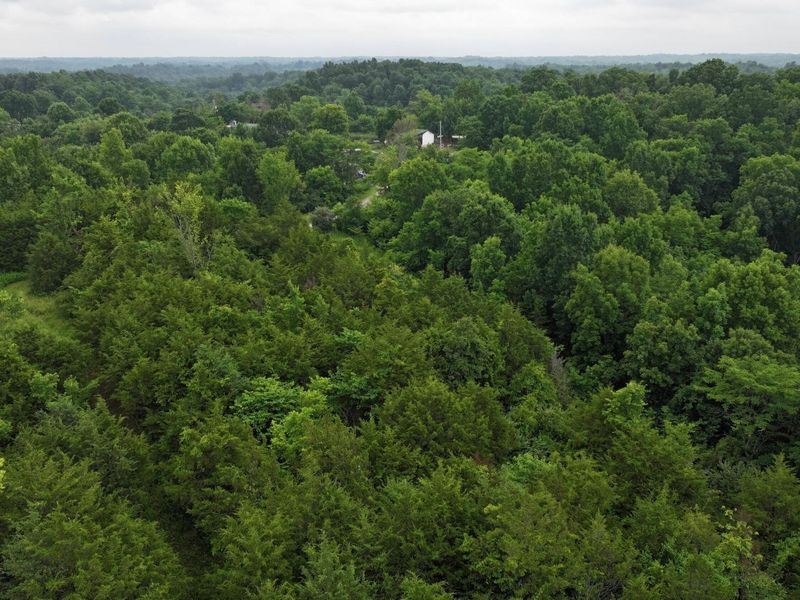 10792 New Columbus Road, Owenton, KY 40359 Photo 16